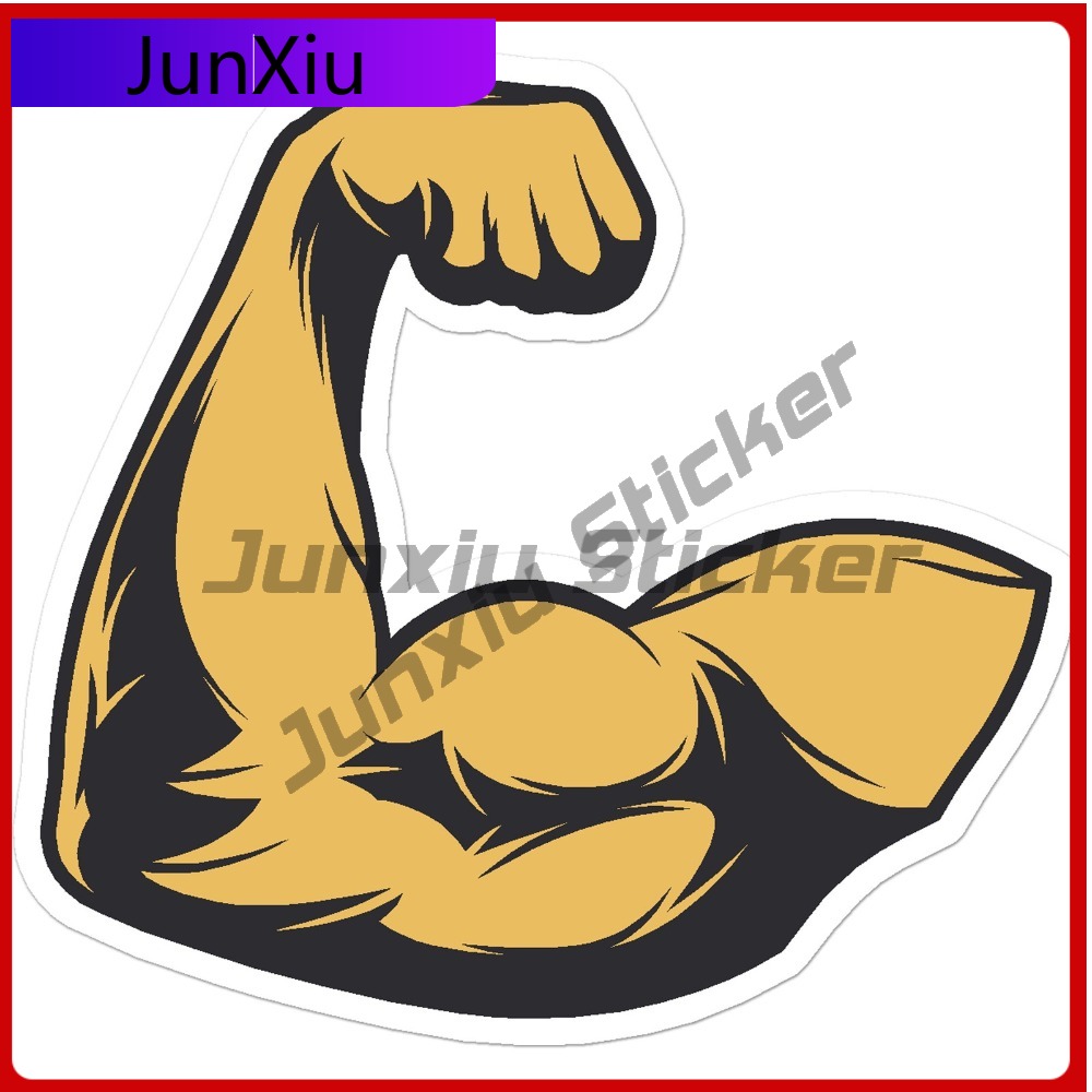 Bicep Muscle Weights Lucu Hadi - Laptop Accessories Best ulasan dan harga